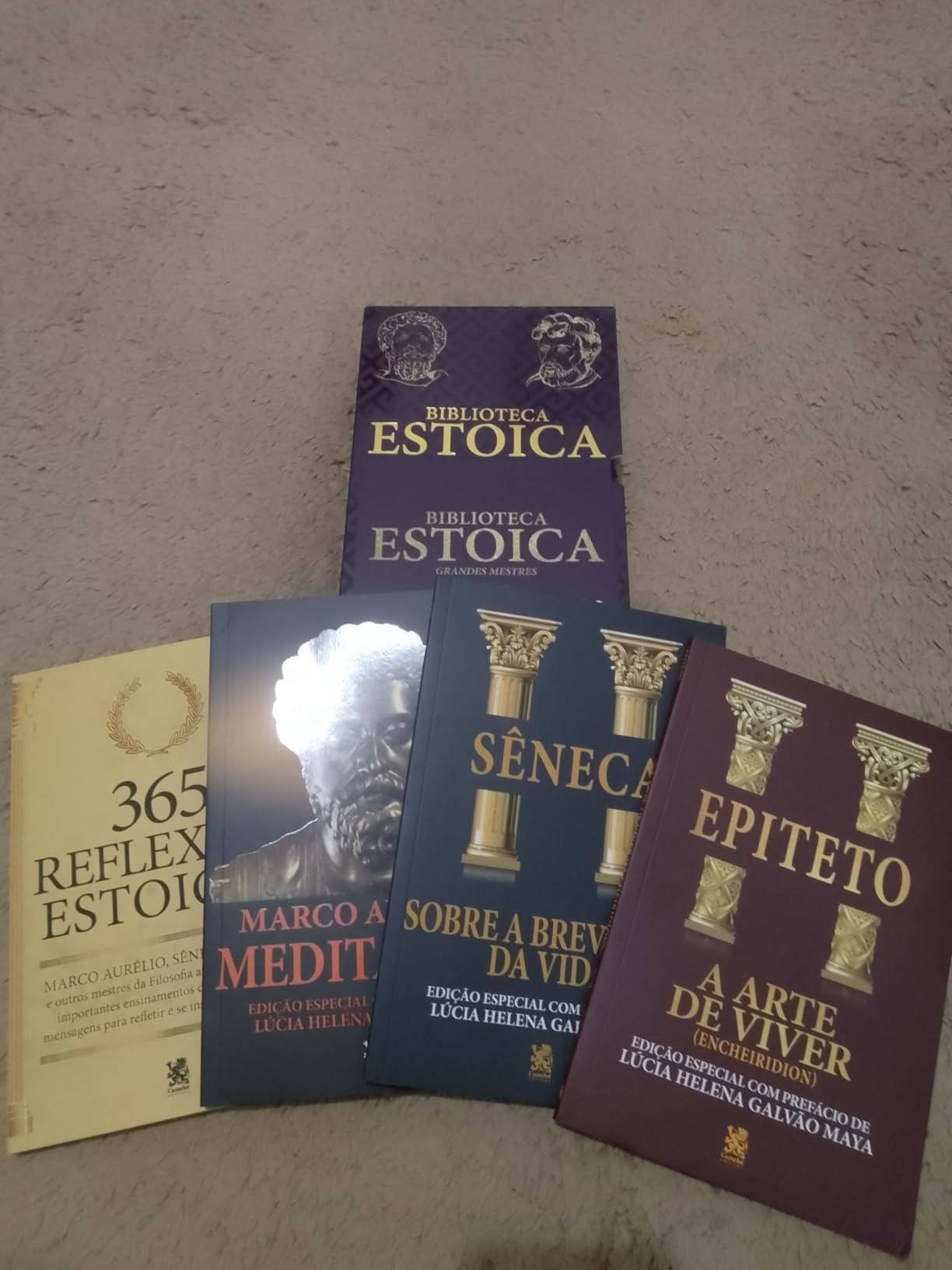 Foto enviada por Mariana Costa \u2014 Biblioteca Estoica